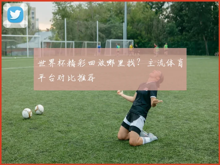 世界杯精彩回放哪里找？主流体育平台对比推荐