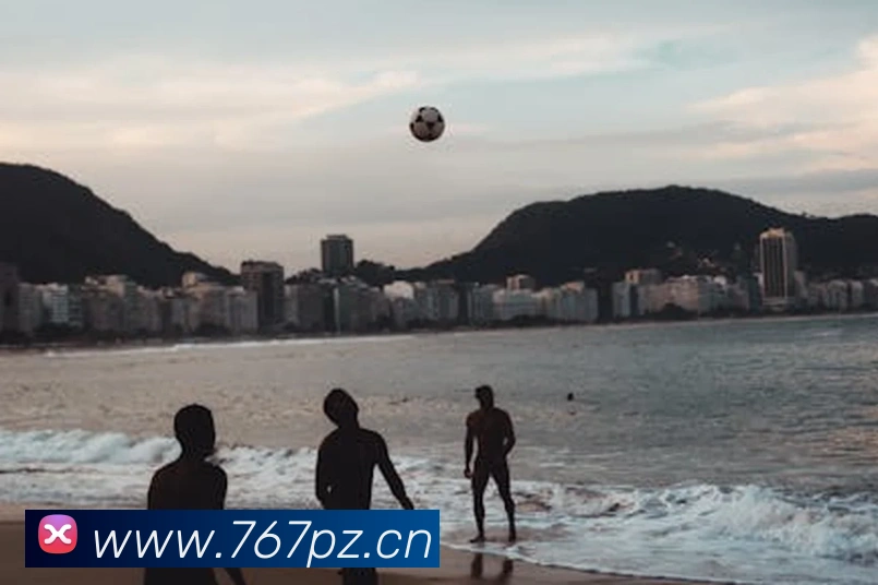 leyu乐鱼在线登录最新官网服务体系